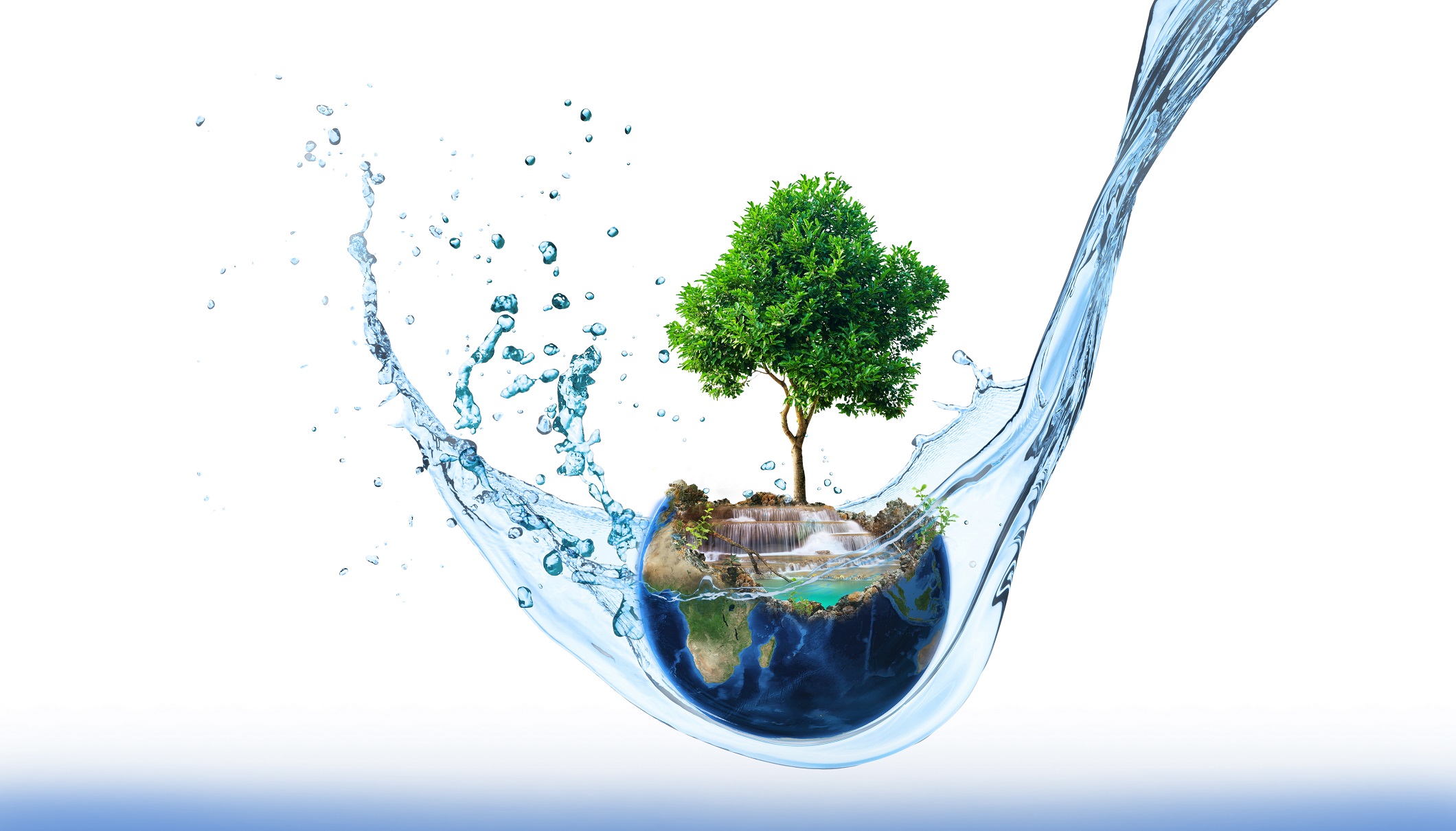 Journée de l'Environnement
